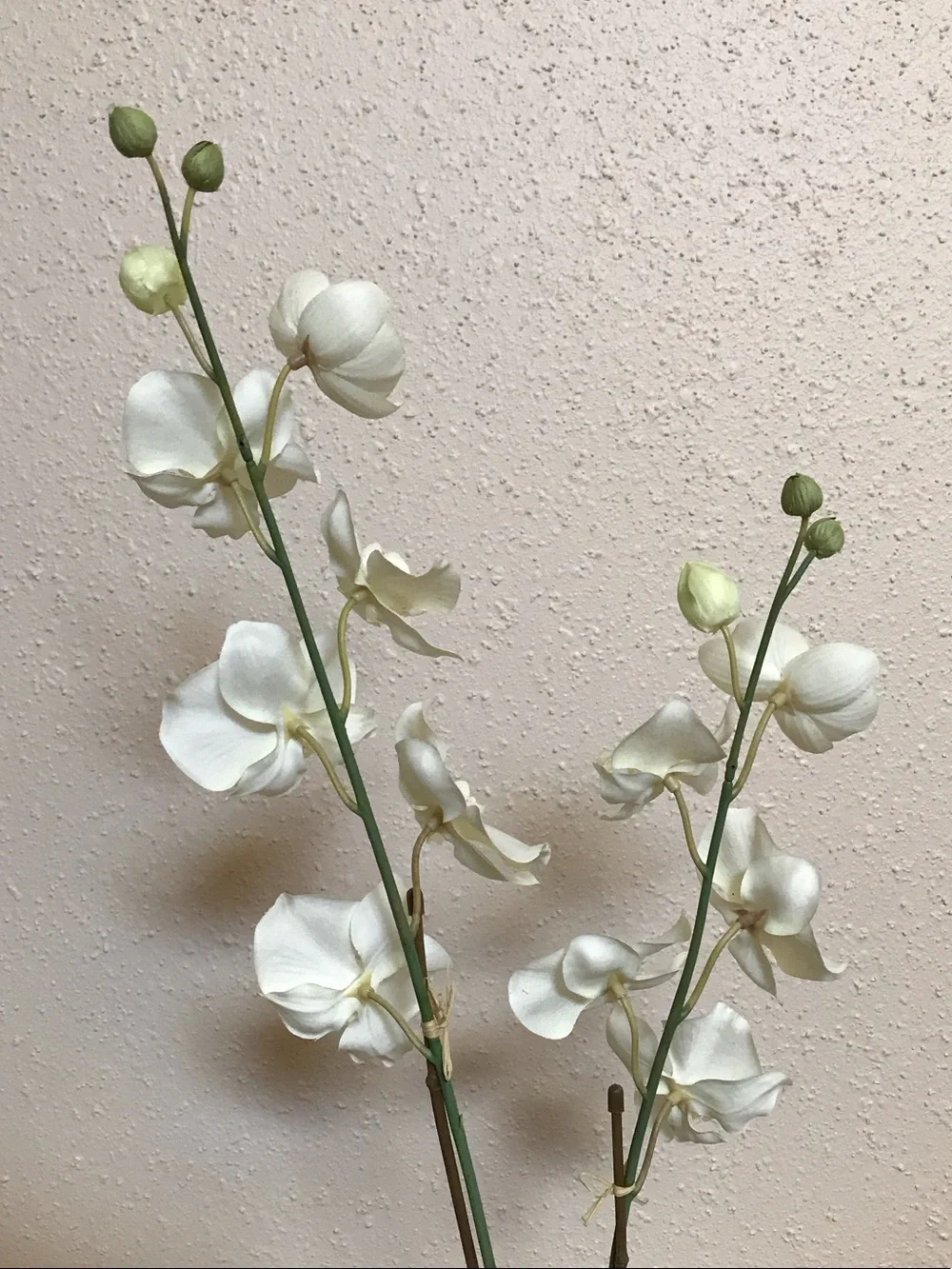 Artificial White Orchid Stem in Gray Pot - Home Accents